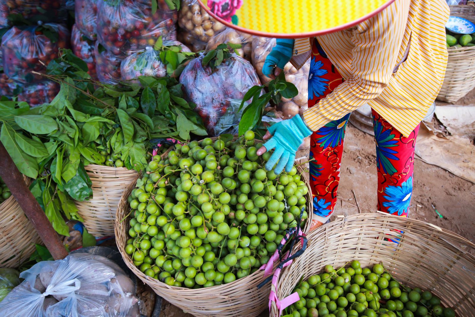 Chợ nổi Cà Mau là nơi hội tụ rất nhiều loại trái cây và sản vật miệt vườn như đu đủ, xoài, dừa nước, dưa gang, khế, bí, bầu, ổi, chôm chôm, khóm thơm (dứa), cà chua…